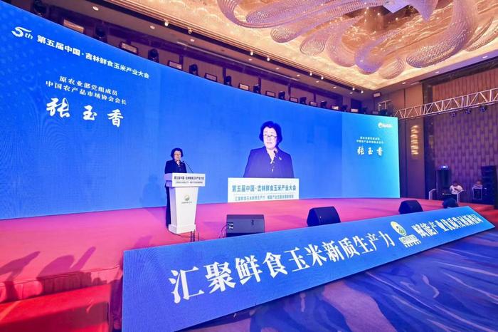 中设股份年度盛事：5月20日，2024年度股东大会即将启幕