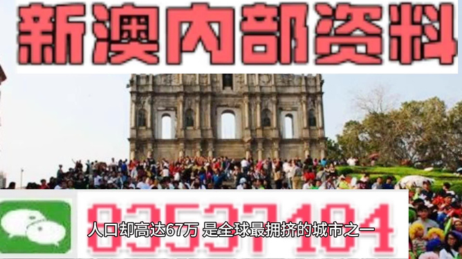 2025澳门精准正版免费四不像,精选解析、解释与落实