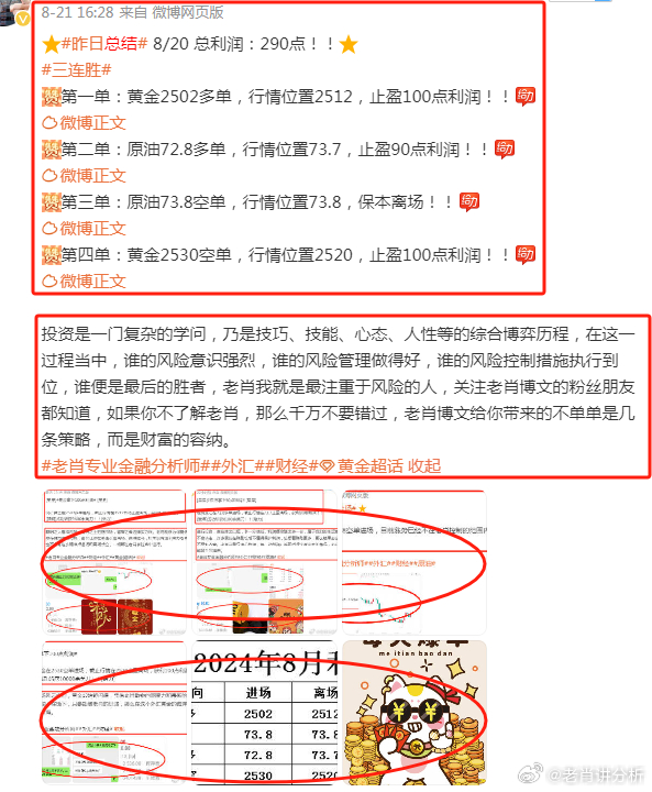 2025年新澳今晚资料和澳门管家婆100%精准,精选解析、解释与落实